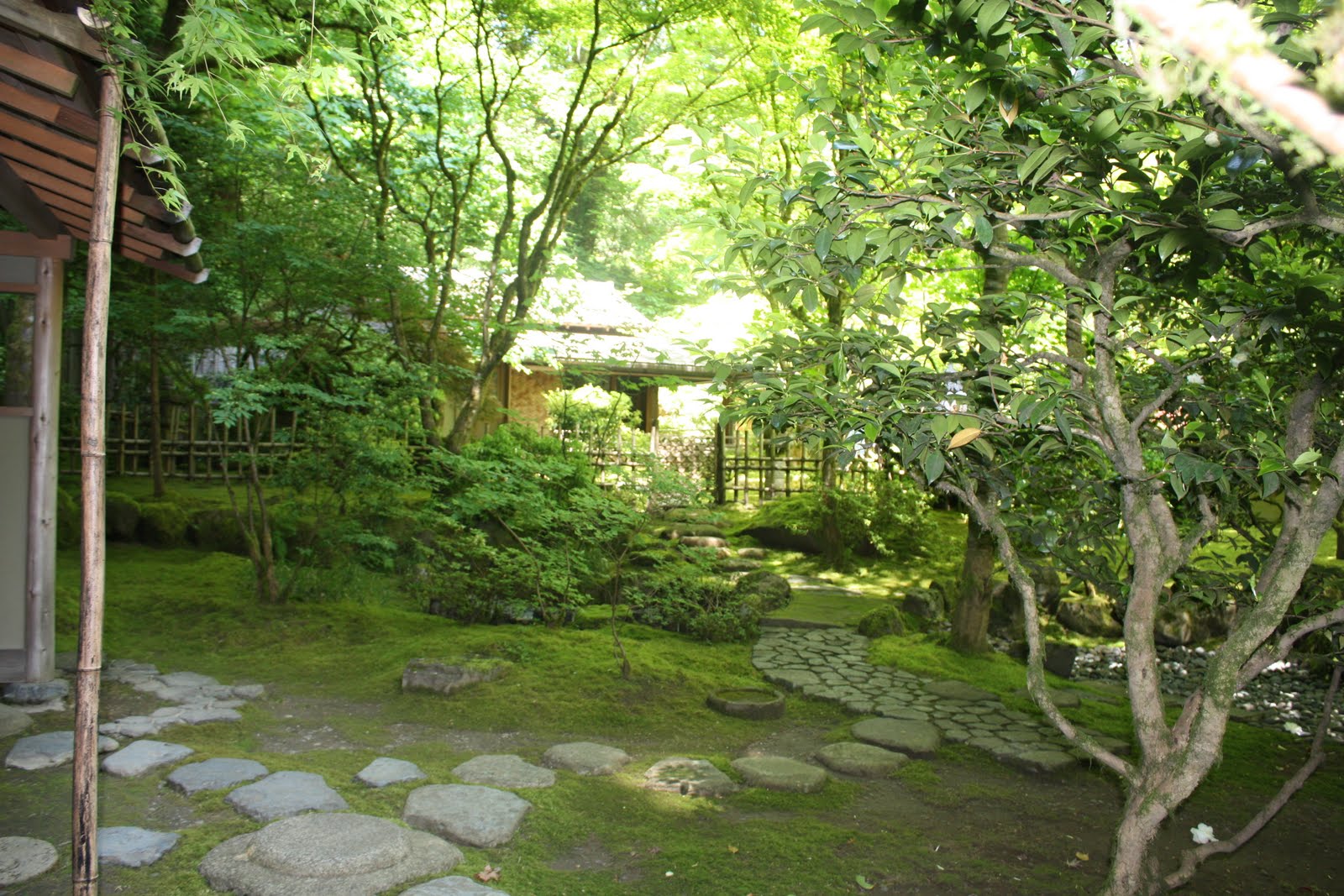 Brevity is the Soul of Witlessness