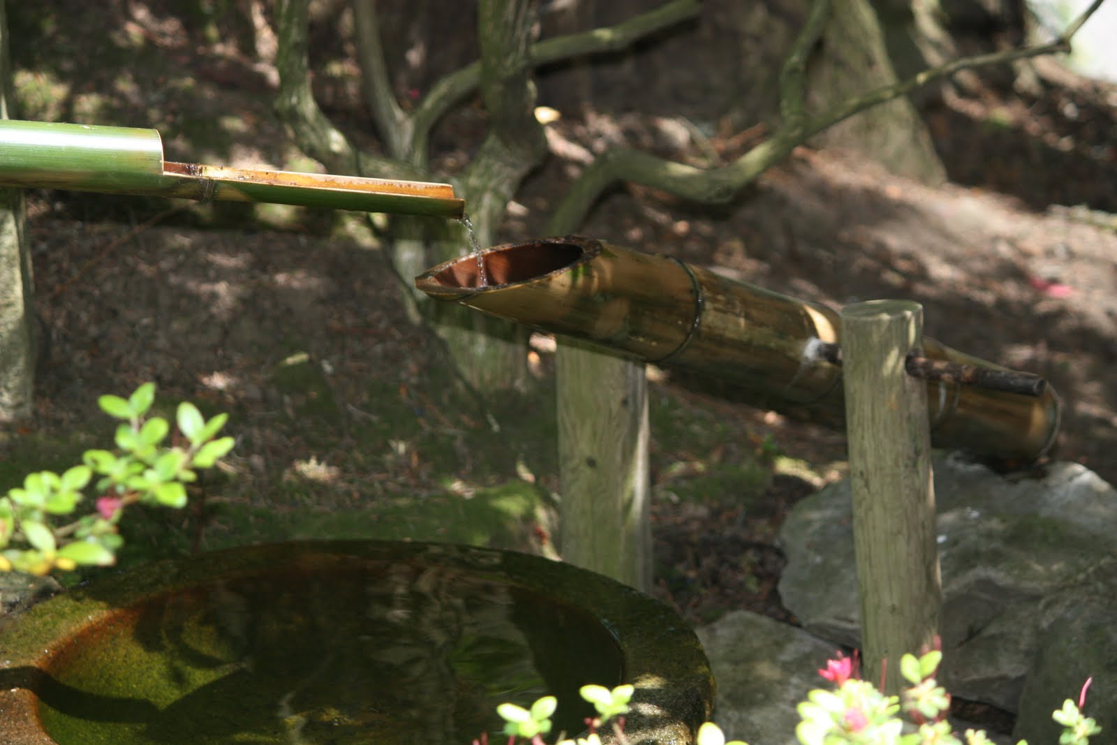 Brevity is the Soul of Witlessness