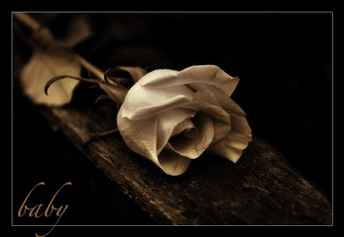 [92aa660b40b6a0b3b7a766ad8803e638.jpg]