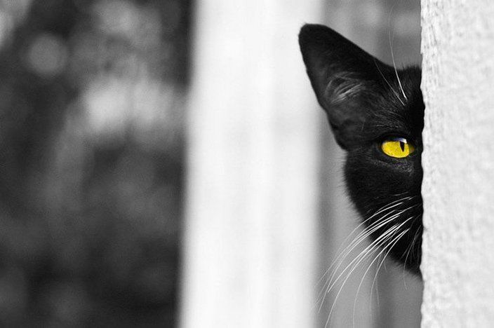 [daily+selection011.jpg]