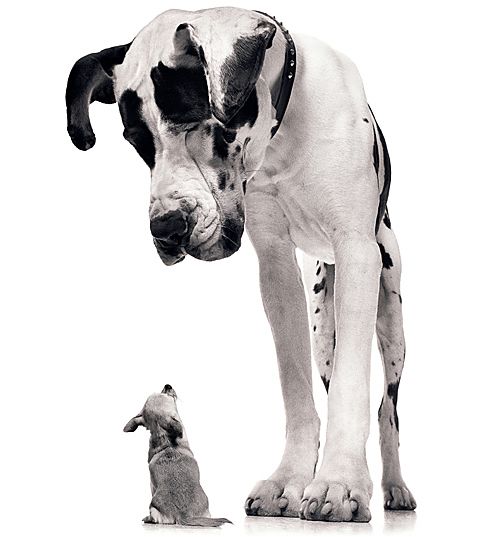 [daily+selection006.jpg]