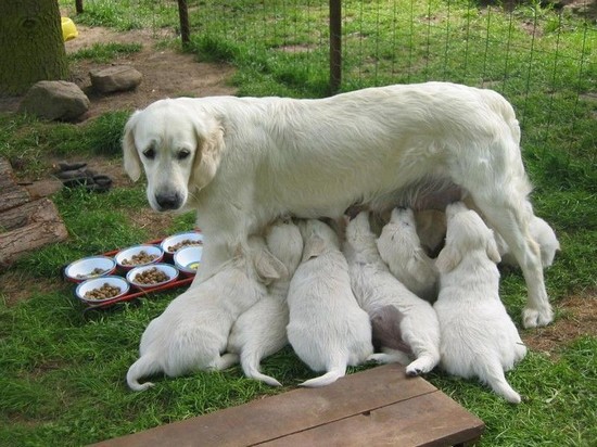 [funny-pics-15440.jpg]