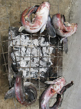 Catfish on the grill
