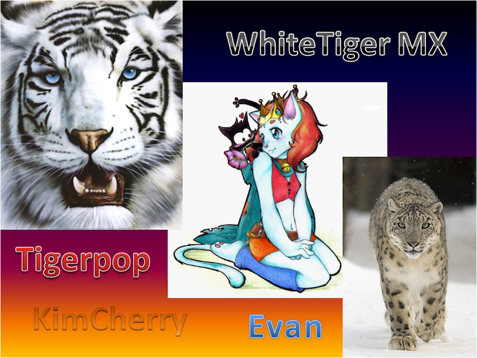 White Tiger MX