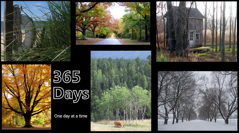 365 Days