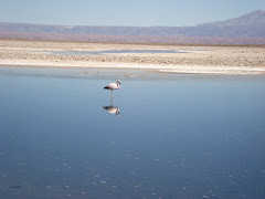 Minha viagem mais recente