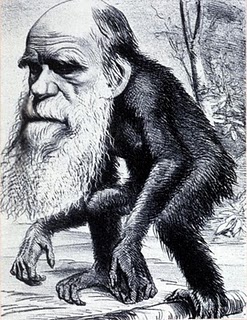 Darwin+monkey.jpg