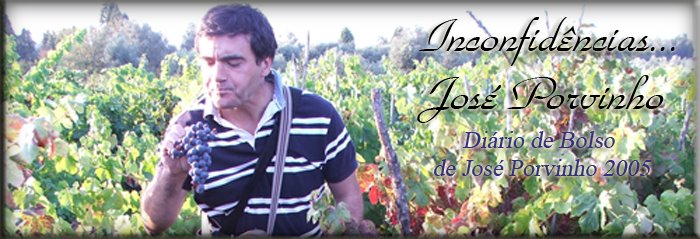 José Porvinho-Inconfidências