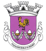 Institucional