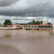 A Fúria do Salgado