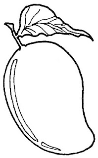 34+ Mango Outline Drawing Pictures Pictures