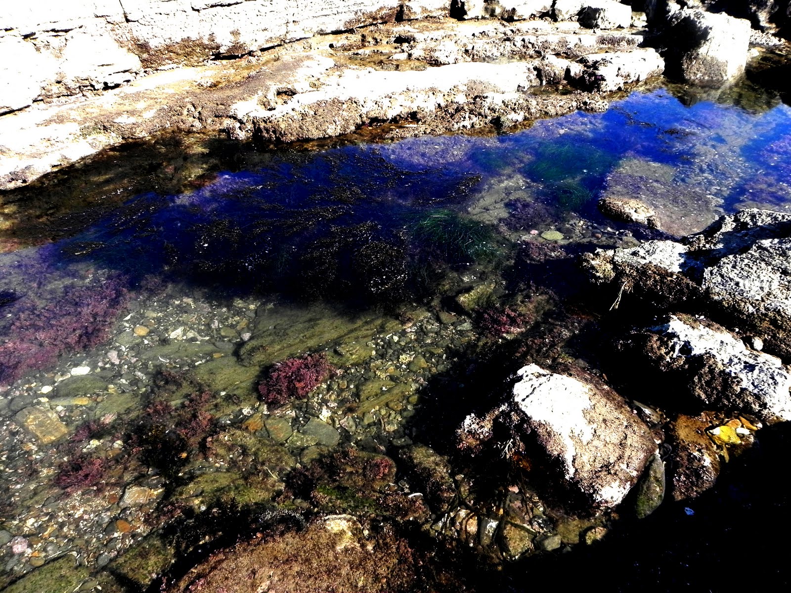 Light Impressions San Pedro Tide pools