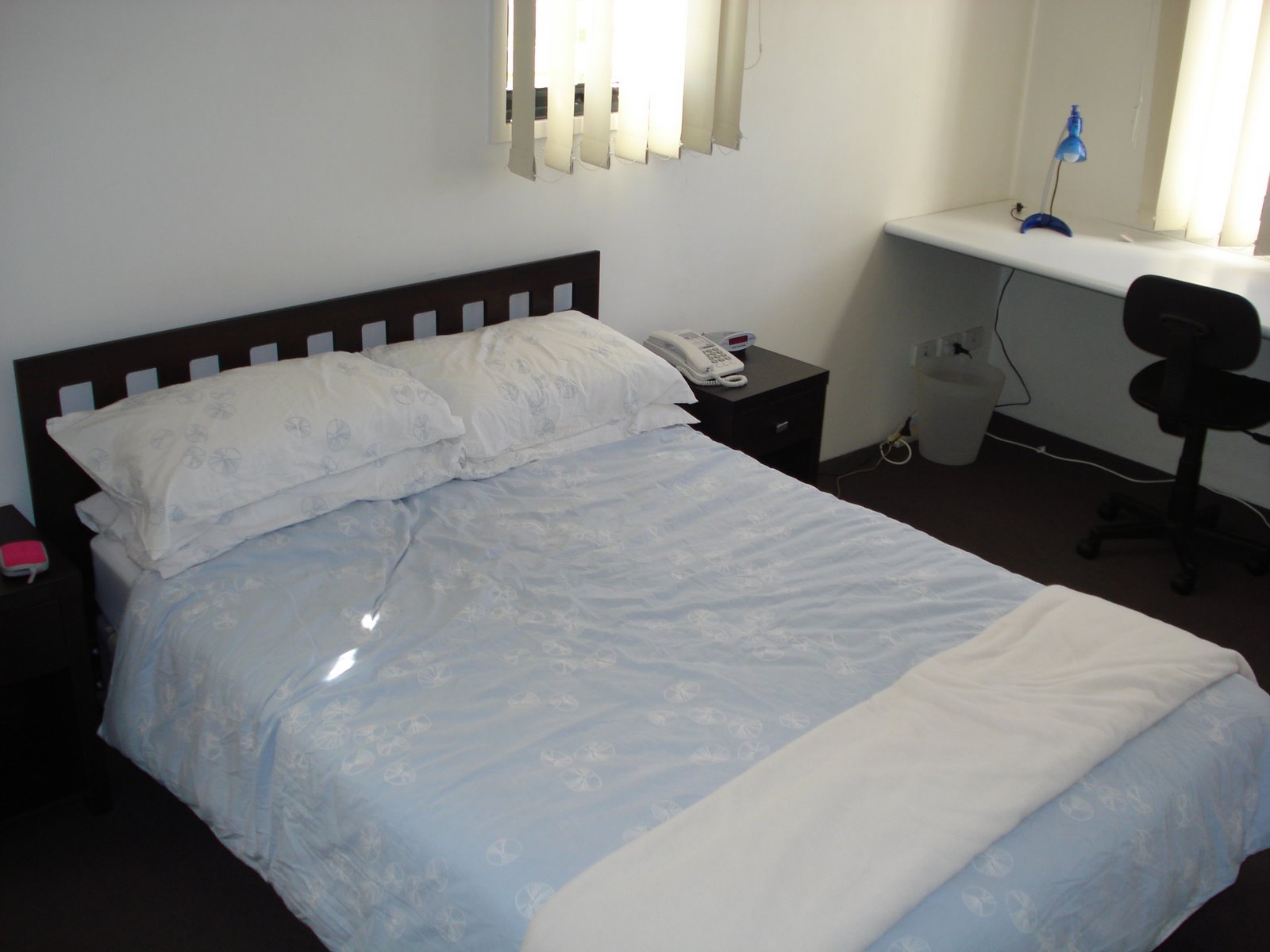 [DSC02251.JPG]