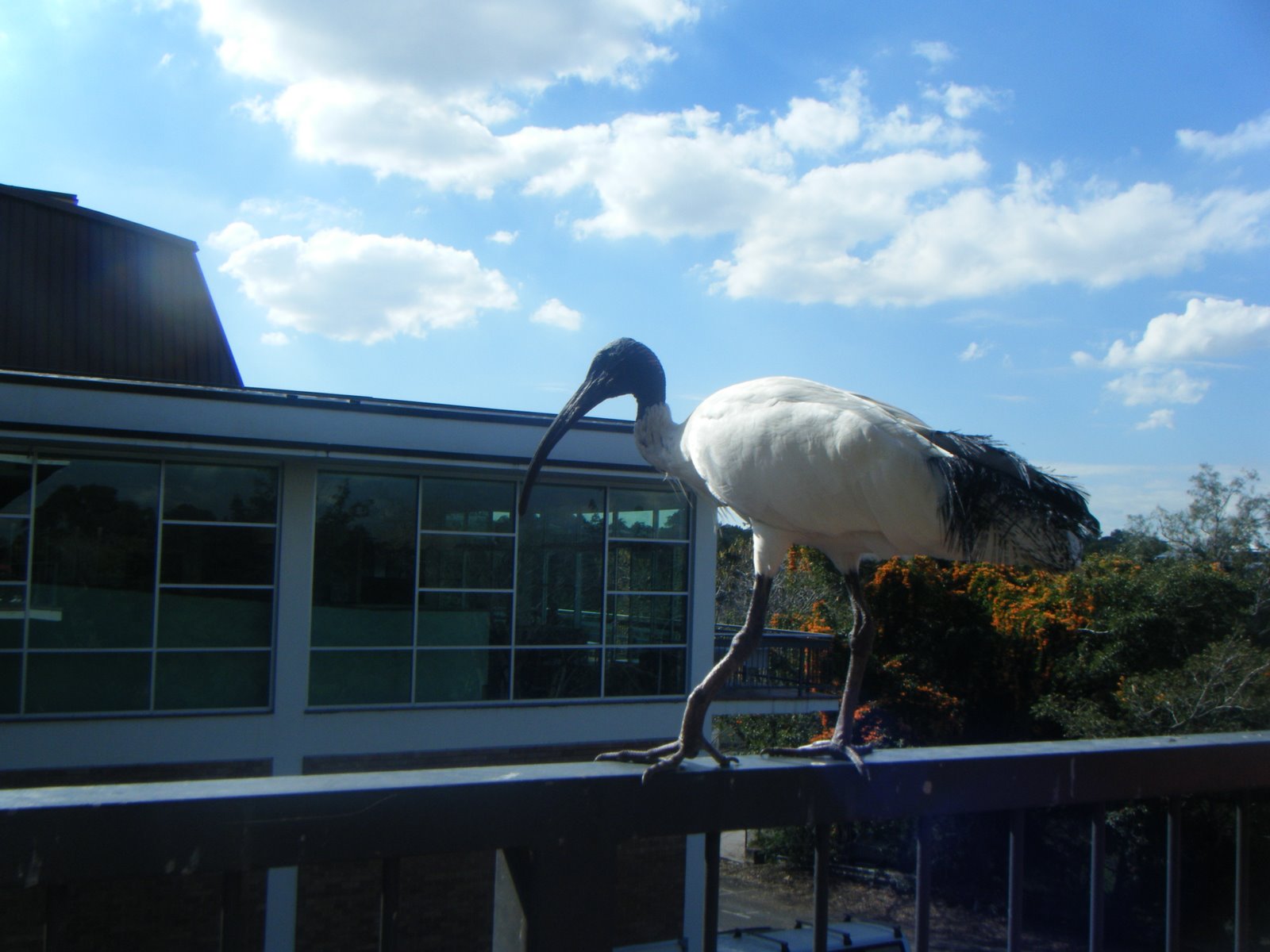 [DSCF1464.JPG]
