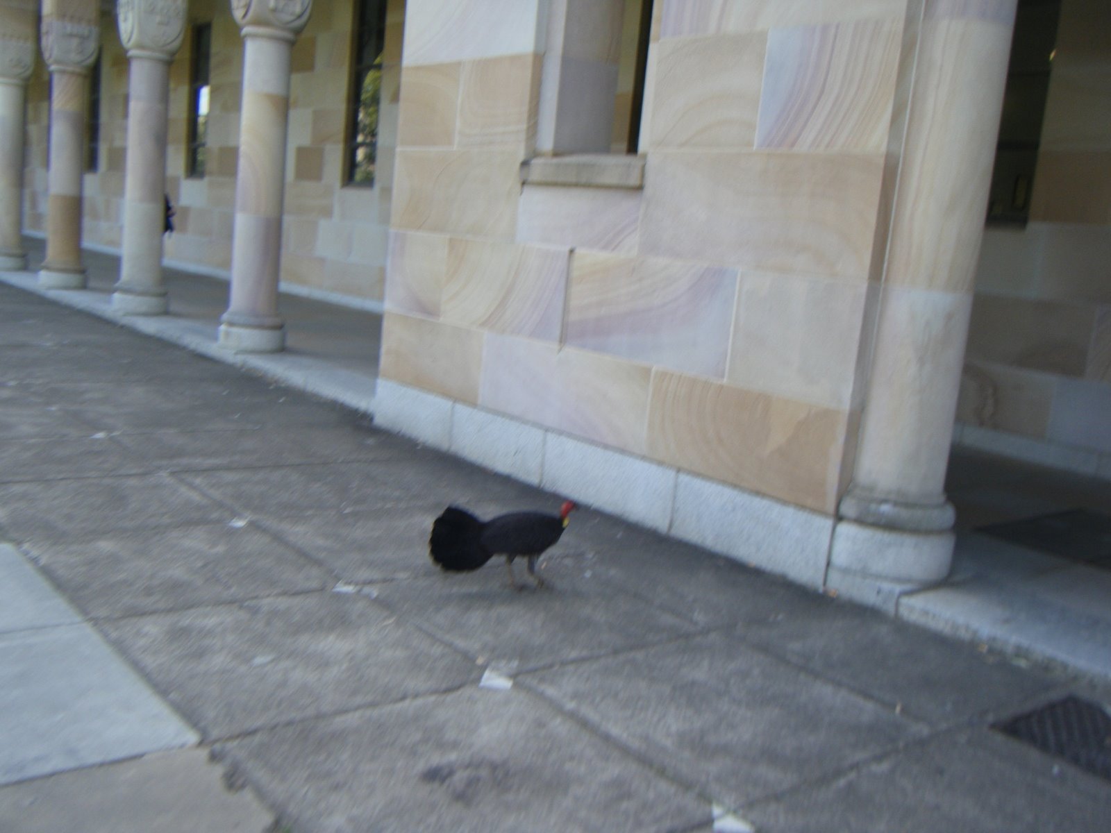[DSCF1472.JPG]