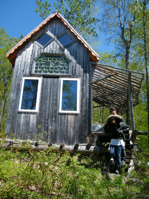 There is also a tiny house on the property that is included in this sale.