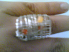 ANEIS