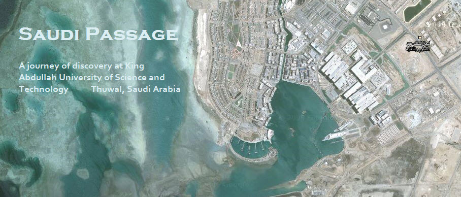 Saudi Passage