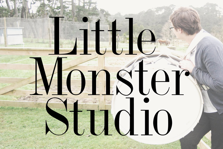 Little Monster Studio