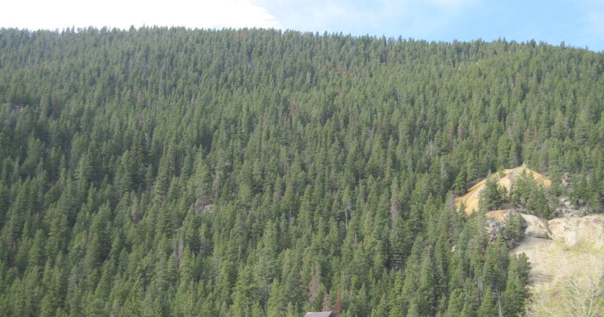 Ken B Travels: Summer 2010 Westward Journey Part IV: Through the Rockies.