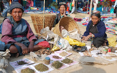 Invaluable Herbs