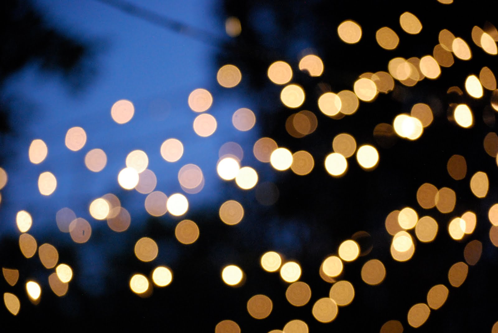 claire white twinkle lights