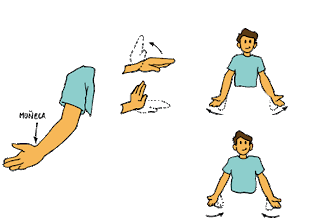 movimientos articulares de cada articulación