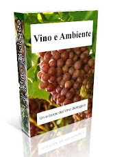 Gratis il tuo e-book "Vino e Ambiente"