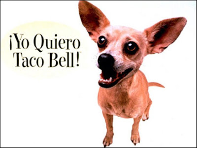 3+taco+bell+dog.jpg