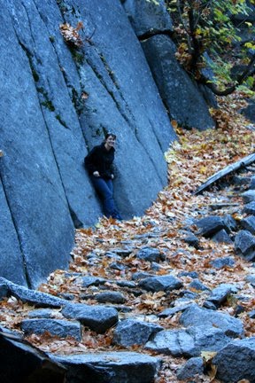 [wall+trail.bmp]