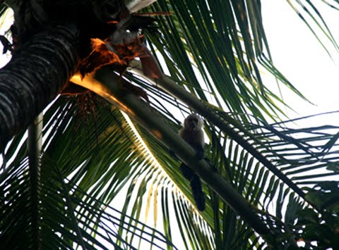 [IMG_2563.JPG]