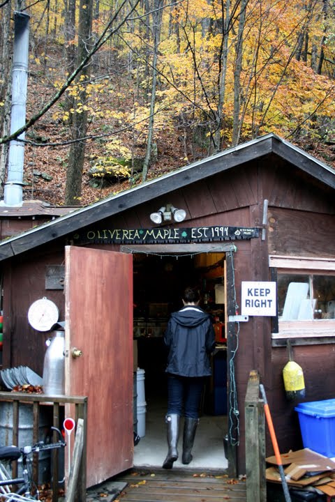 [IMG_2390.JPG]