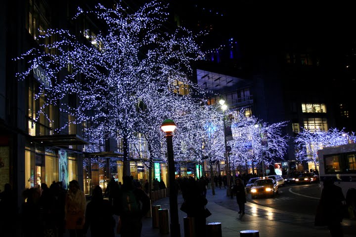 [IMG_3630.JPG]