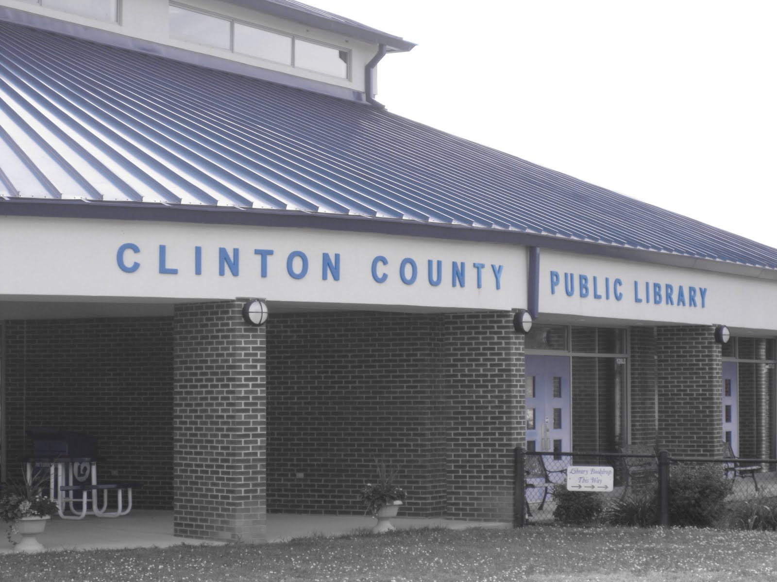 "From Seedling to Sap"The story of a family tree