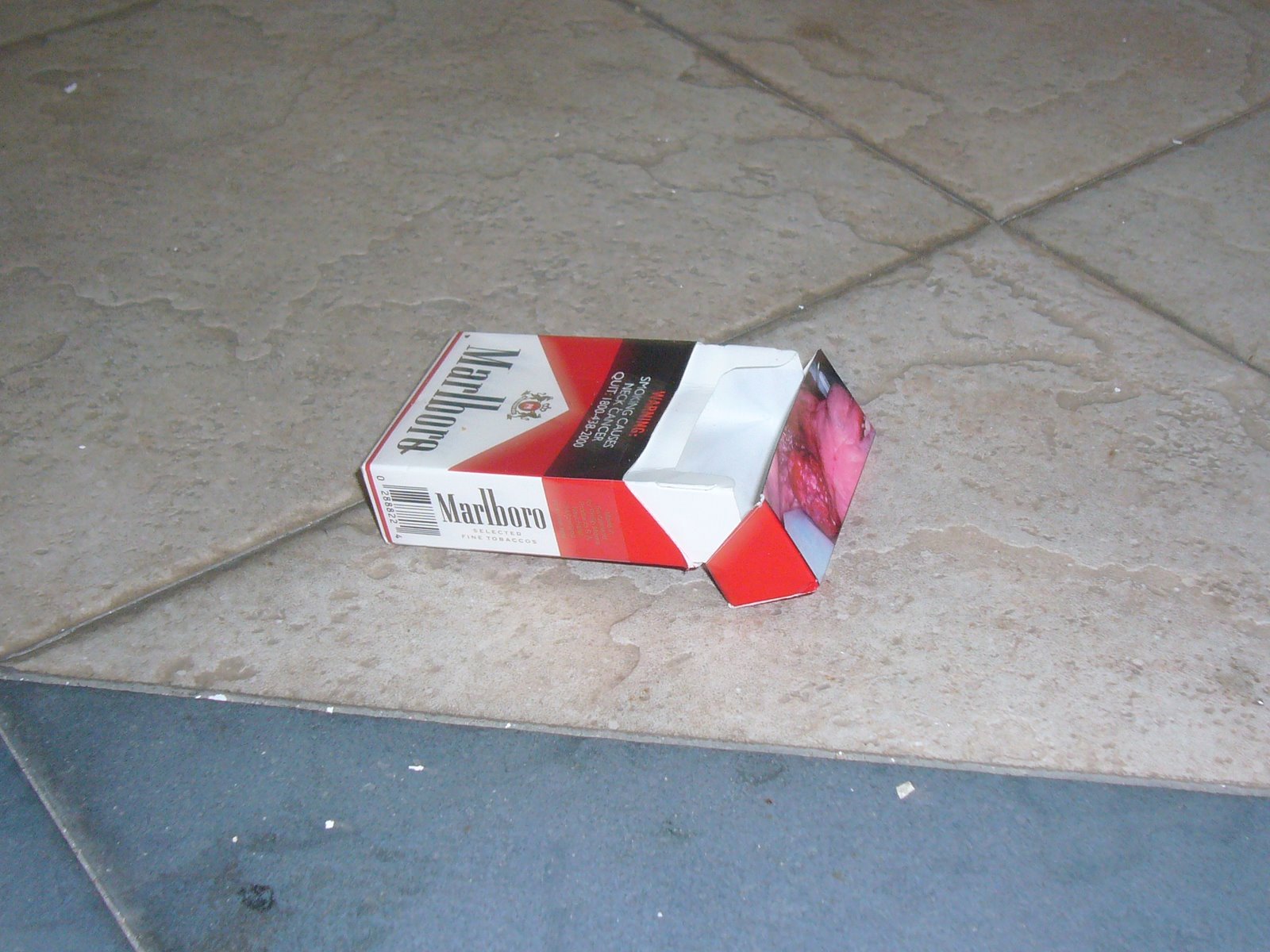 [P1050763.JPG]