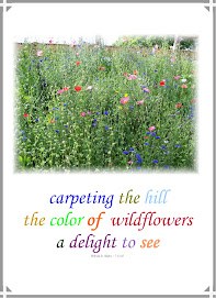 Wildflower haiku