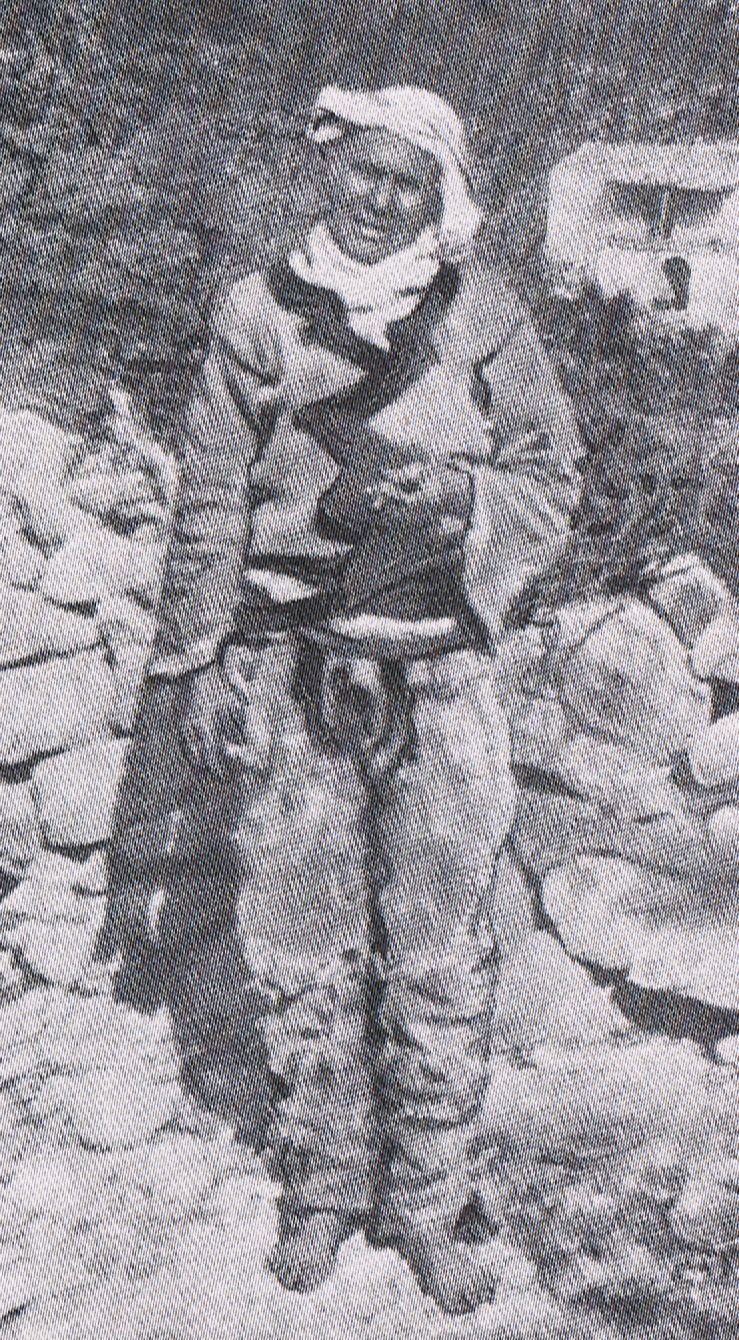 [virginatRapsha.jpg]