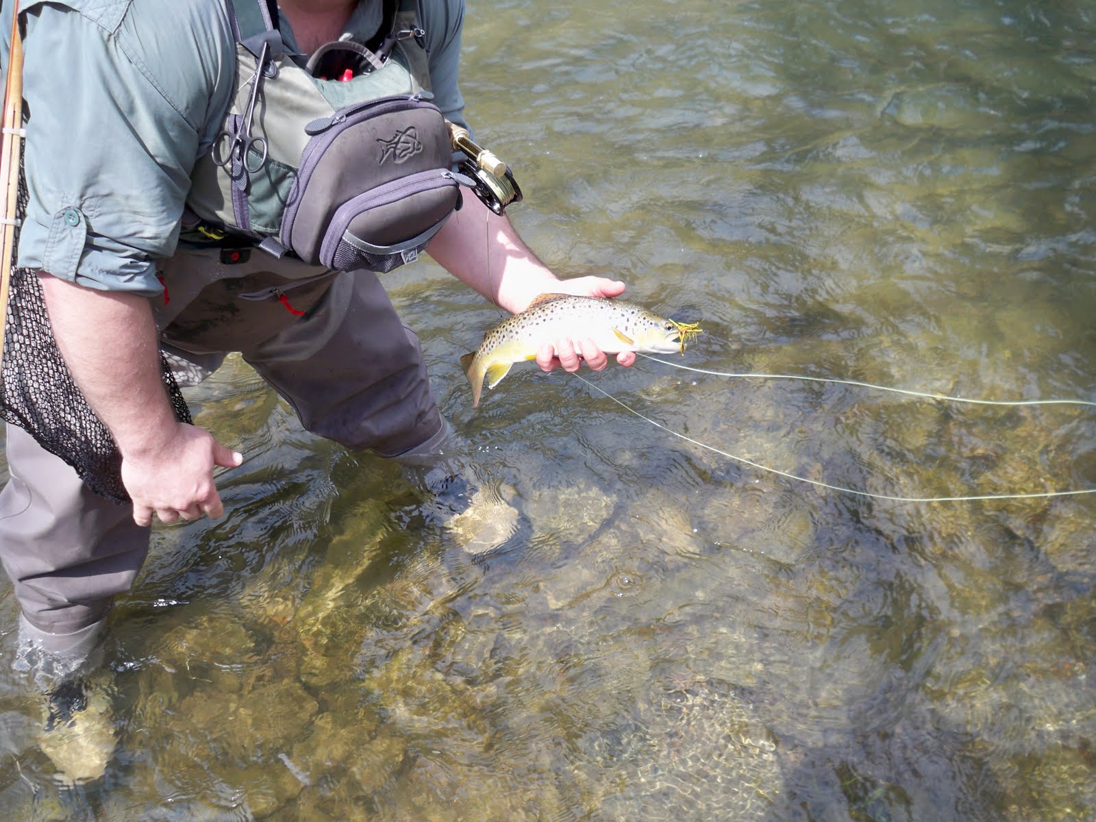 Grobe Anglers And Adventures Penns Creek Fishing Report 4062010