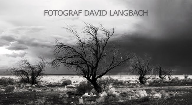 Fotograf David Langbach