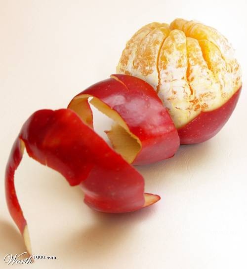 [transgenicos30.jpg]