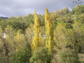 otoño en el valle del jerte