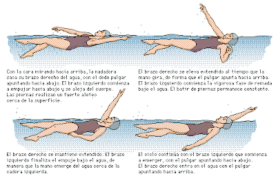 Albert Einstein en dolor de rodilla al andar y bajar escaleras
