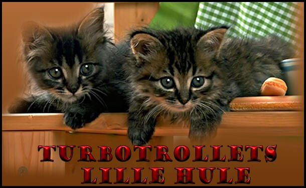 Turbotrollets lille hule