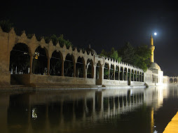 Fısh Lake