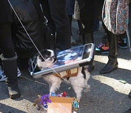 [Bild: iphoneDog.jpg]