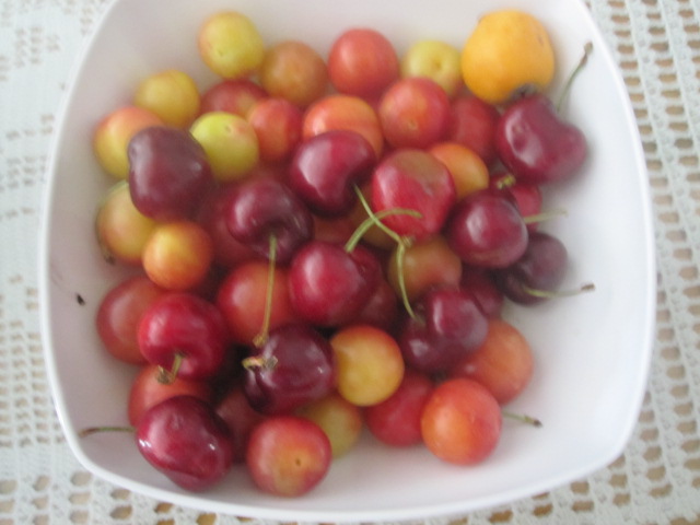 ALGABO: CEREZAS Y CIRUELAS.