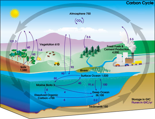 Mr. Griffin's Earth Systems Scene