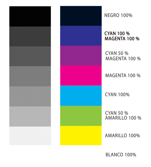 Taller Virtual: ESQUEMA 6
