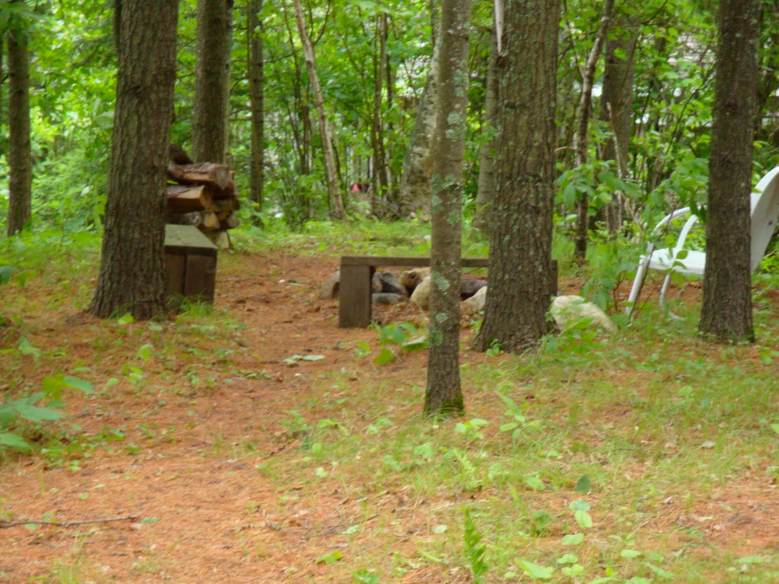 ARTIST LAKE HOME FOR SALE The wooded area of the yard with the fire pit
