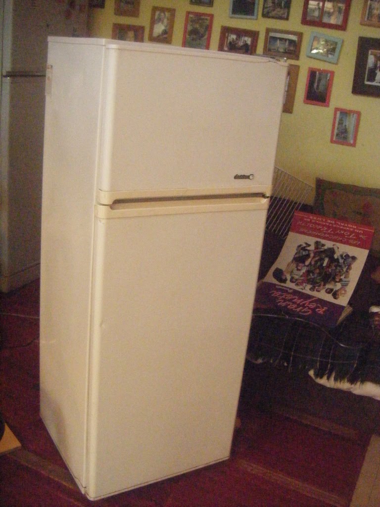 [Refrigerador+Sindelen+(3).JPG]
